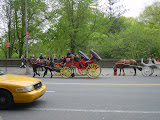 200305051426.JPG
