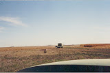105_G.jpg