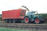 900_silage3.jpg