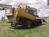 Cat_485_1.jpg