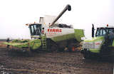 claas480_3.jpg