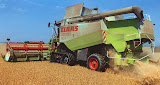 claas480_6.jpg