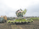 ClaasJaguar900CSLFieldshuttle9.jpg