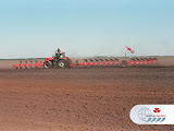 MF8280_WorldRecord390HP_10.jpg