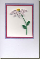 Quilled daisy