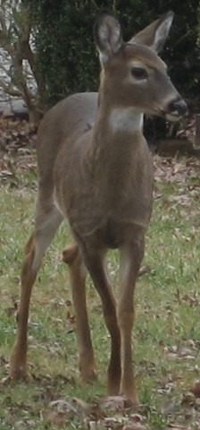 [IMG_5693[3].jpg]