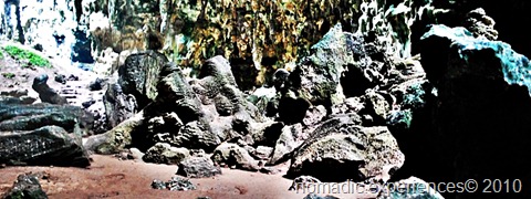 DSC_1318 DSC_1318