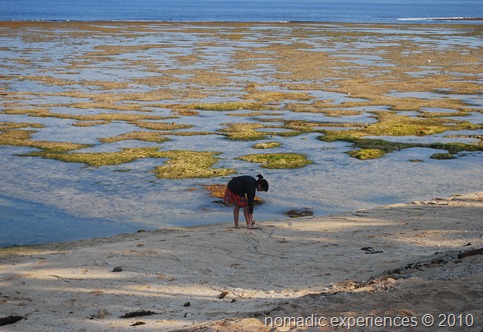 Bolinao 005 Bolinao 005