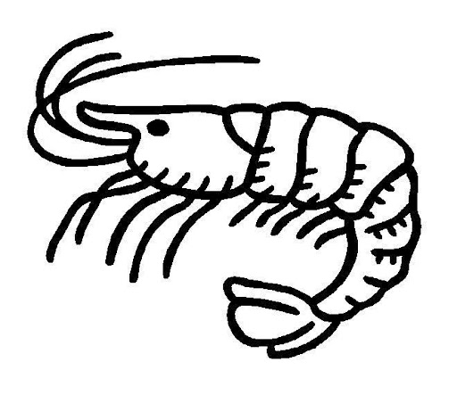 Animales invertebrados moluscos para colorear - Imagui Animales invertebrados moluscos para colorear - Imagui