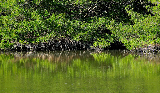 longboat