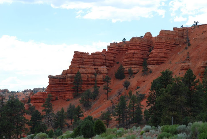 DSC_0165.JPG