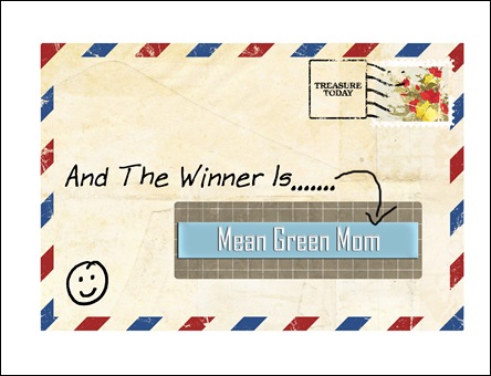The Winner Is copy