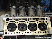 P1010093.jpg