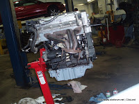 P1010016-1.jpg