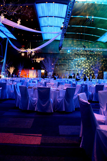 We went'icy' with ice blue satin linens glitter dot overlays 30 trees