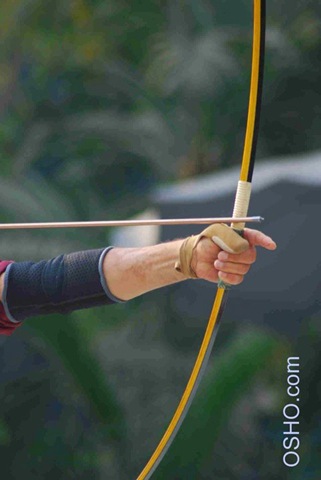 [Archery 4[7].jpg]
