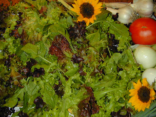 DSCN0282.JPG