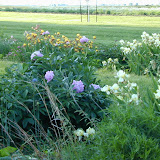 DSCN0138.JPG