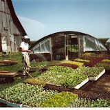 watering.jpg