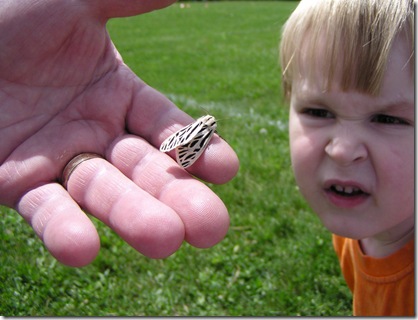 A soccer bug