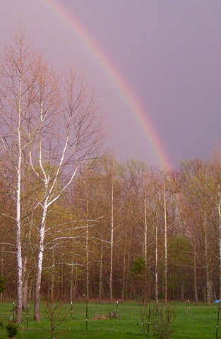 [Rainbow[6].jpg]