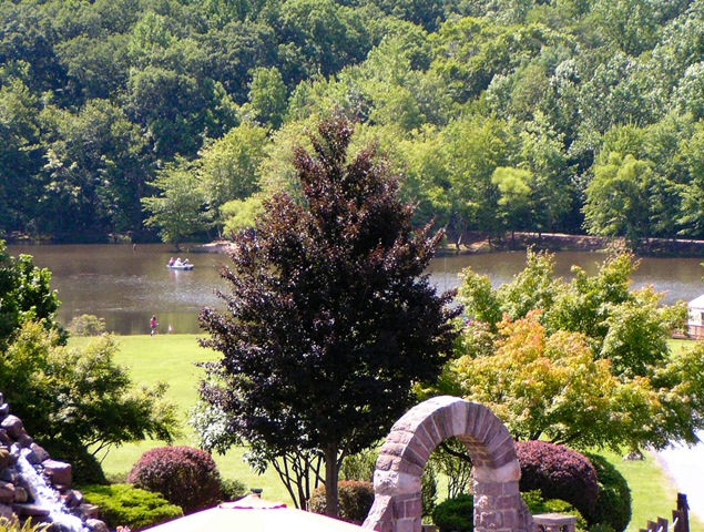 [Lake[3].jpg]