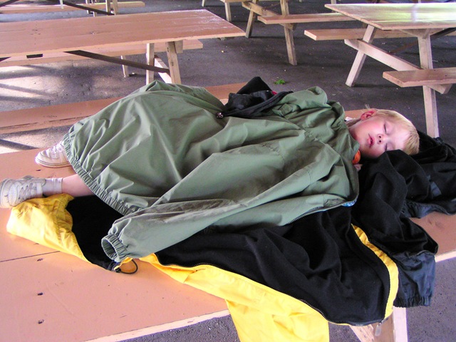 [afternoon nap[4].jpg]