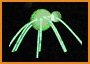 [glow stick spider[16].jpg]