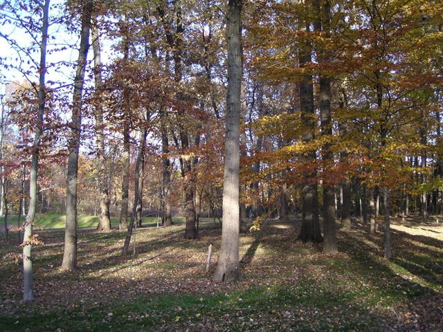 [Pond Area[5].jpg]