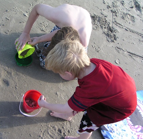 [Sandcrabs3.jpg]