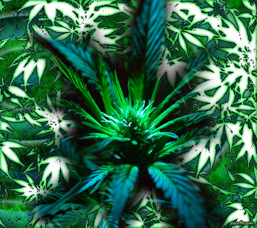Cannabis Wallpaper Let me know what you think.
