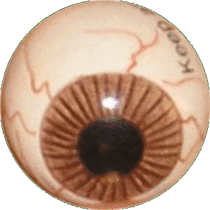 EyeSpin.gif