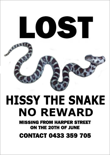 missing_hissy06.jpg