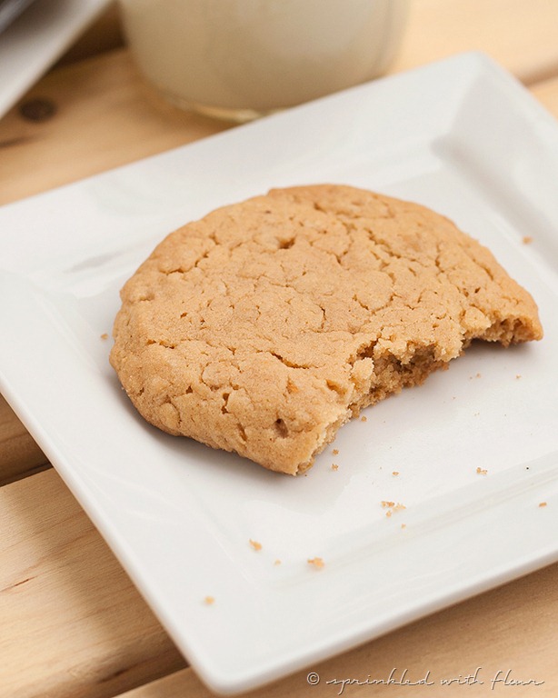 [peanut-butter-oaties-03-for-web[19].jpg]