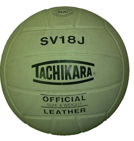 [volleyball photo[5].jpg]