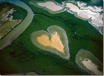 Heart in Voh photo by Yann Athus-Bertrand
