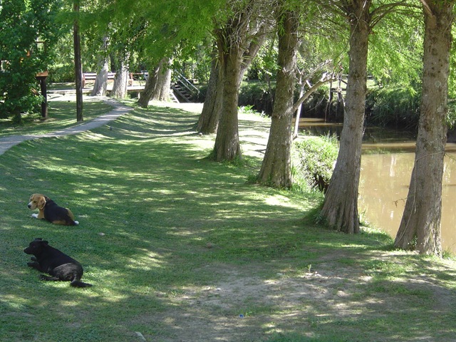[DSC009454.jpg]