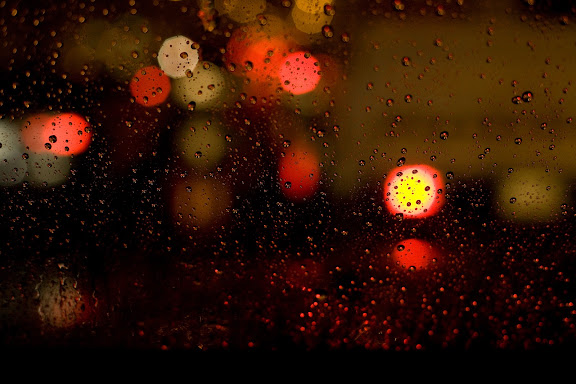  yet another end of 2009 set of photos