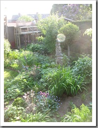 IMG_8053 IMG_8053