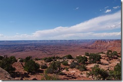 DSCF0993