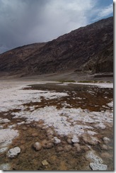 DSCF0895