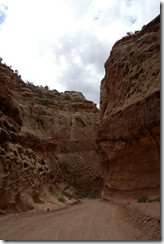 DSCN1269