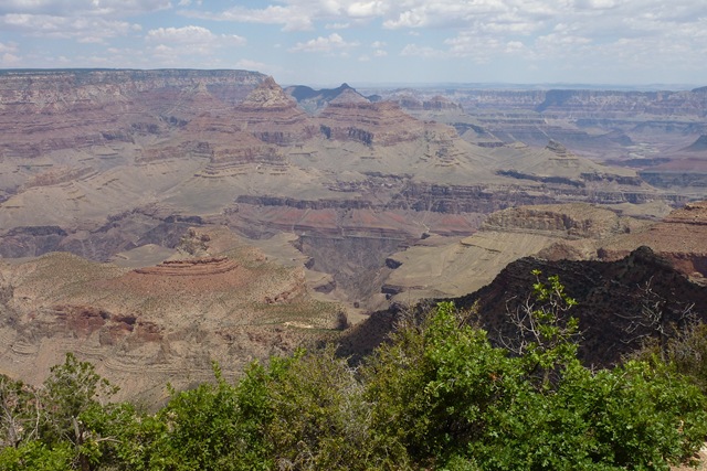 [P1000944[2].jpg]