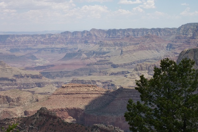 [P1000946[2].jpg]