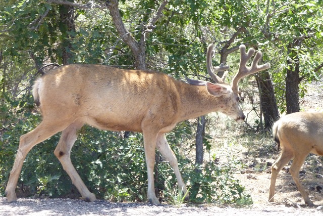 [P1000954[2].jpg]