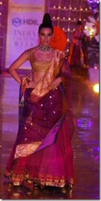 Manish Malhotras collection 12at HDIL2010