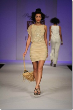 WIFW SS 2011 collection by Preeti Chandra's Show   (17)