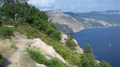 2010-07-28_17-04-18_271