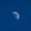 DSC_0989.jpg