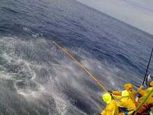 Pesca de bonito del norte